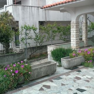 Apartments Sava Povljana (5)