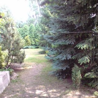 Dom na lato nad wodą Tresta Rządowa (4)