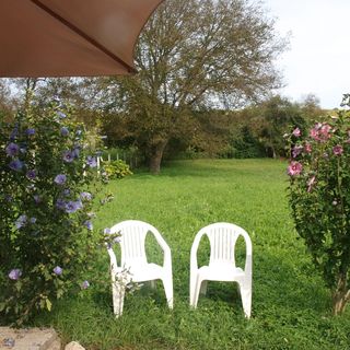 Hibiszkusz Ház Bekölce (3)