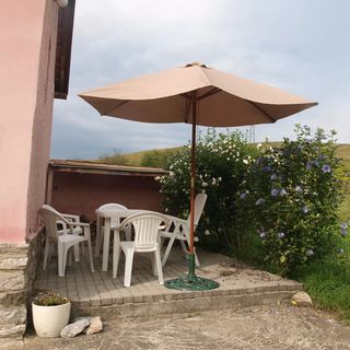 Hibiszkusz Ház Bekölce (5)