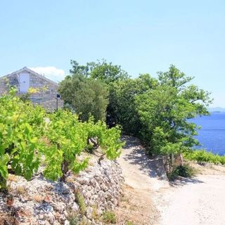 Robinson House Dingač Trstenik (5)