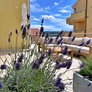 Apartments Pinta de Sol Cizici (3)