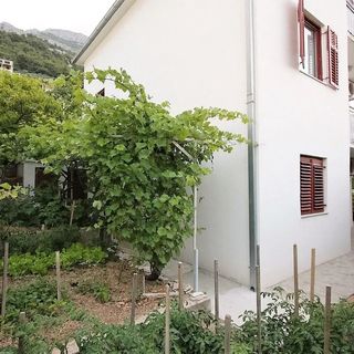 Apartmani Šera Pisak (3)