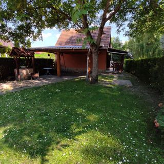 Dávid lak Tiszavasvári (2)