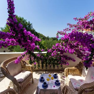 Apartmani Pupa Petrčane (2)