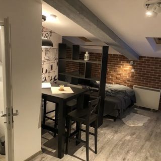 Apartament na Poddaszu Kraków (4)
