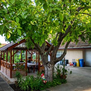 Zsu-Zsó Vendégház Szeged (5)