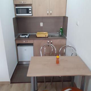 Apartament Kacsó Ocna de Sus (4)