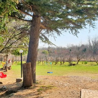 Apartman Jakominic Šilo (4)