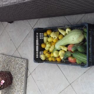 Csendvölgyi Falusi Vendégház Németbánya (4)