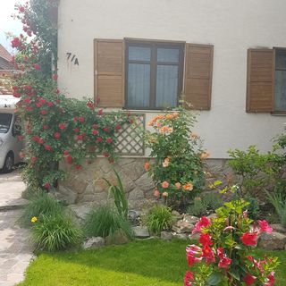 Dália Ház Velence (3)