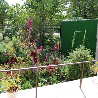 Fenyves Nyaralóház Balatonakali (2)