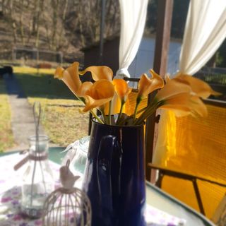 Liget-lak Vendégház Szokolya (4)