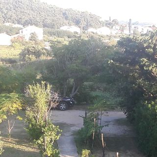 Apartmanok Parkolóhellyel Kampor, Rab - 17886 Kampor (5)