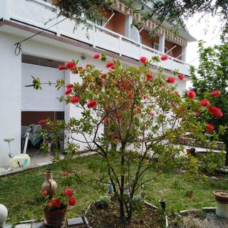 Apartmanok Parkolóhellyel Kampor, Rab - 17886 Kampor (3)