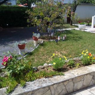 Apartmanok Parkolóhellyel Kampor, Rab - 17886 Kampor (4)