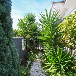 Apartmanok Parkolóhellyel Bibinje, Zadar - 18066 Bibinje (5)