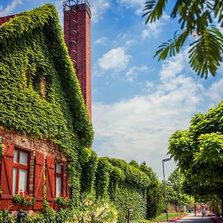 Termál Vendégszoba Lipót (4)