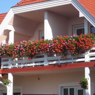 Pannon Panzió Étterem Pannonhalma (3)