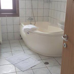 Coroian House Cluj-Napoca (5)