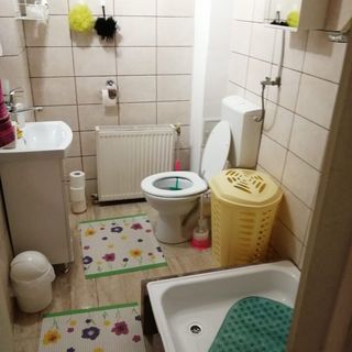 Apartament Cleopatra Cluj-Napoca (2)