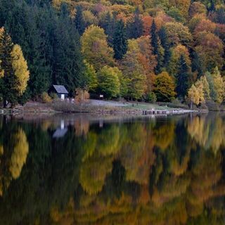 Pensiunea Sólyomkő Bixad (3)