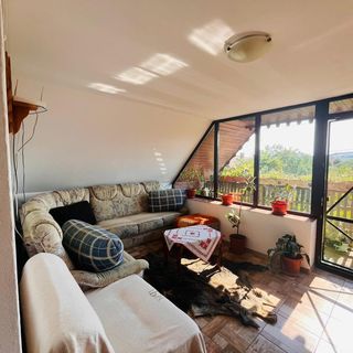 Casa de Oaspeți Kopó Chibed (4)