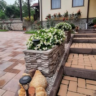 Casa de oaspeți Cifra Sâncraiu (5)