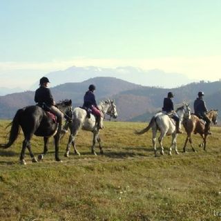 Casa de oaspeți Equus Silvania Șinca Nouă (3)