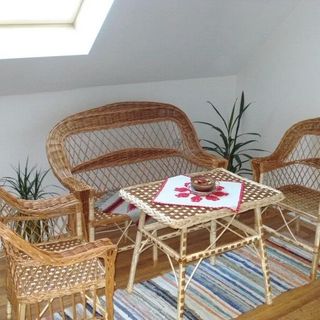 Casa de oaspeți János Armășeni (4)