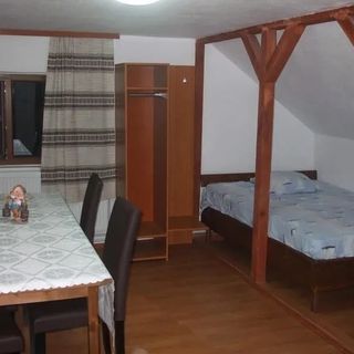 Pensiunea 3 Fântâni Runcu (2)