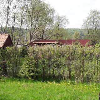 Cabana Hunor-Magor Izvoare (4)