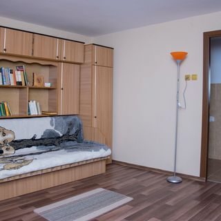 Apartament Eszter Izvoru Crișului (3)