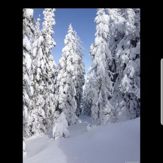 Casa de oaspeți Maja Izvoare (2)