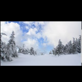 Casa de oaspeți Maja Izvoare (3)