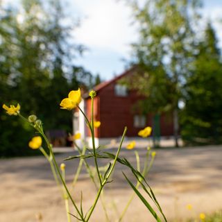 Cabană Bucsin Borzont (4)