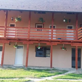 Casa de oaspeţi Zöldfenyő Bisericani (4)