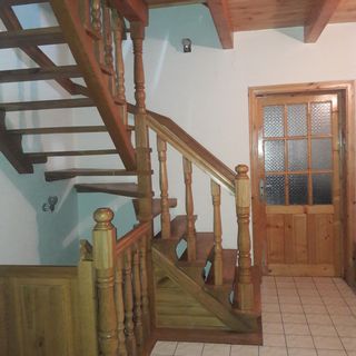 Cabana Ursu Brun Borșa (3)