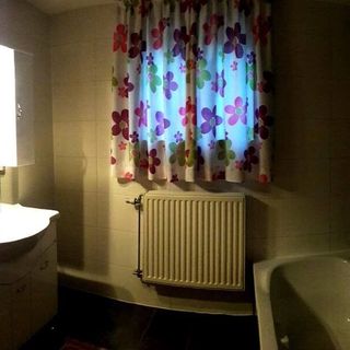 Cabana Ursu Brun Borșa (4)