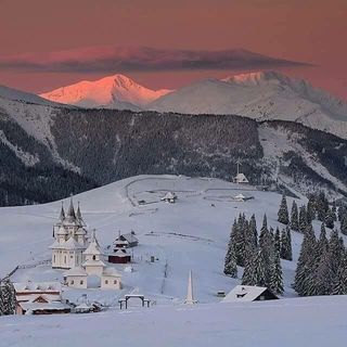 Cabana Ursu Brun Borșa (5)