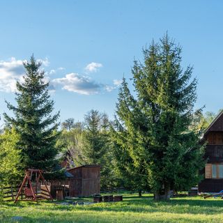 Cabana Gobélak Izvoare (3)