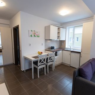 Apartamente Montana Studios Brașov (2)
