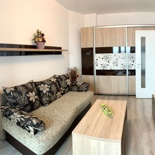 REZapartments 6.1 Iași (2)