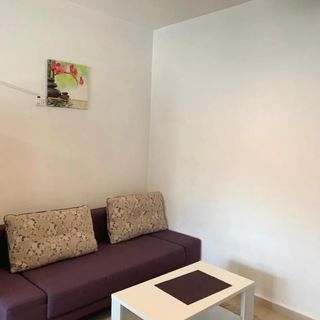 Purple Luxury Apartment Iași (2)