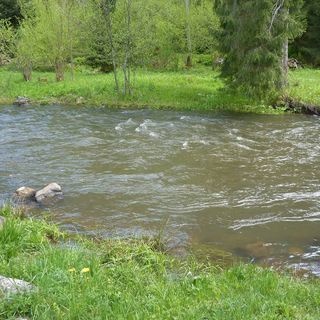 Casa de oaspeți Elekes Gabriella Șicasău (5)