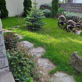 Apartament Nimród Căpâlnița (5)