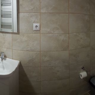 Cabana Vulpea 2 Sovata (3)