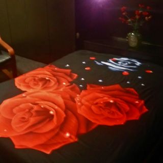 Garsoniera Dali-Nottara București (5)