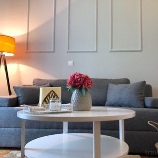 Teo's Flat Sighișoara (2)