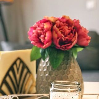 Teo's Flat Sighișoara (4)